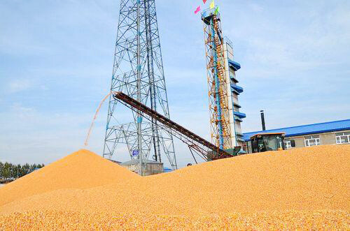 �_�食烘干工程案例